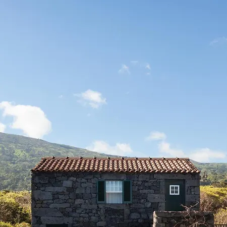 Adega Do Boqueirao