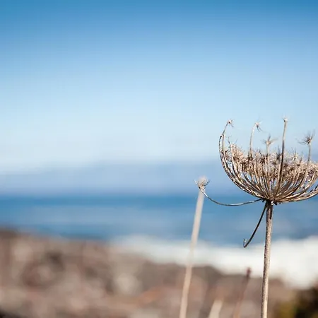 Adega Do Boqueirao بيت للعطل