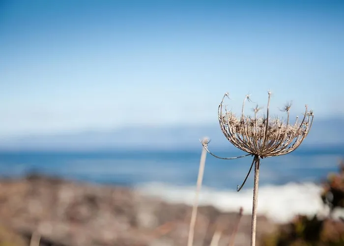Adega Do Boqueirao بيت للعطل